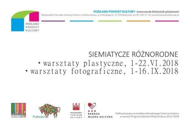 Warsztaty plastyczne - projekt „Siemiatycze różnorodne”