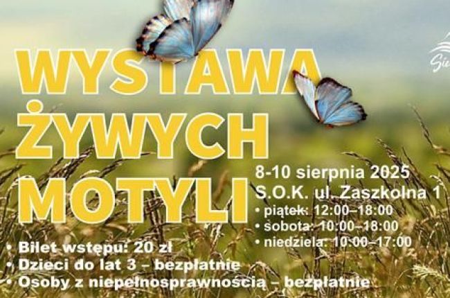 Tropikalna Wystawa Żywych Motyli w Siemiatyczach! 8–10 sierpnia
